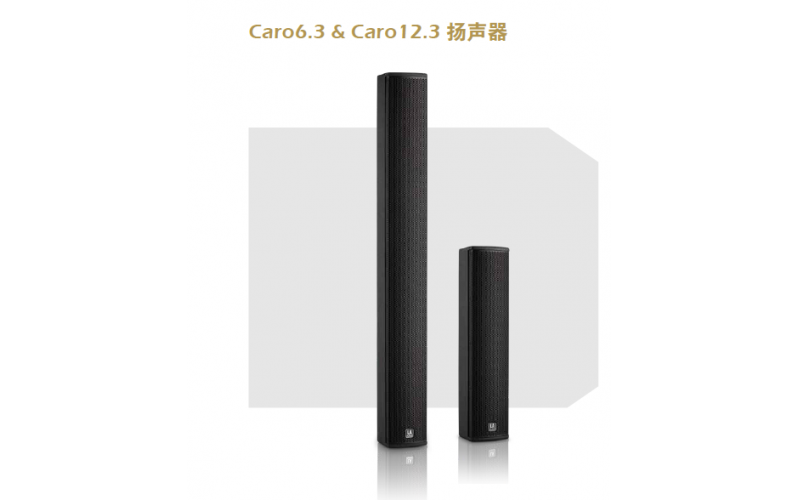 LA Audio產(chǎn)品助華商會樂清片組成功舉辦聯(lián)誼酒會